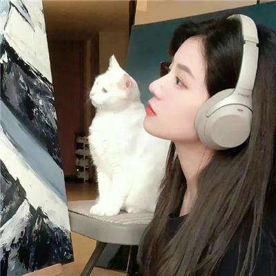 雄狗狗大冒险