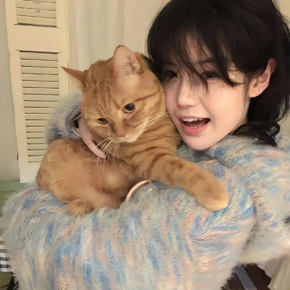 萌道猎妖记